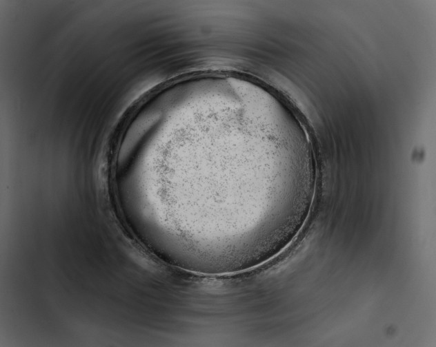 X0000102870827200809021445