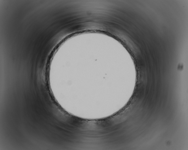 X0000102870828200809021445