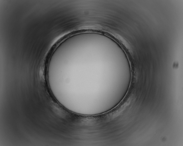 X0000102870830200809021445