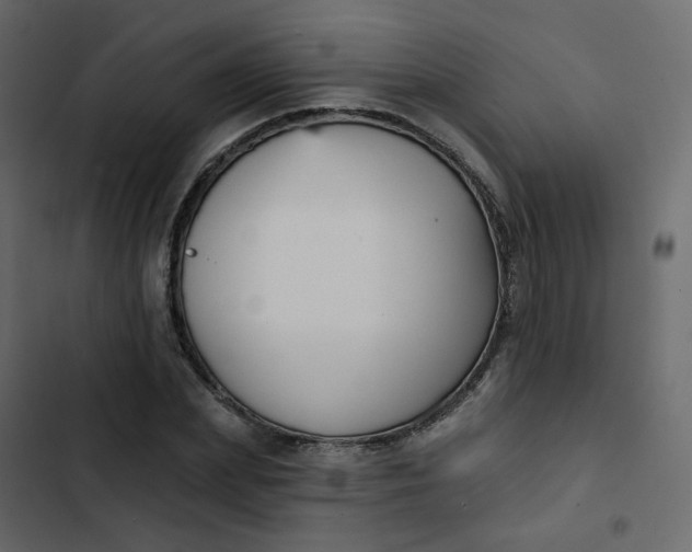 X0000102870831200809021445