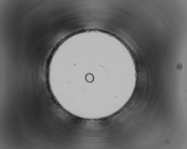 X0000102870832200809021445