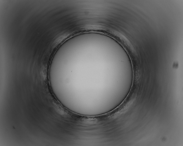 X0000102870833200809021445