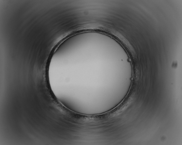 X0000102870834200809021445