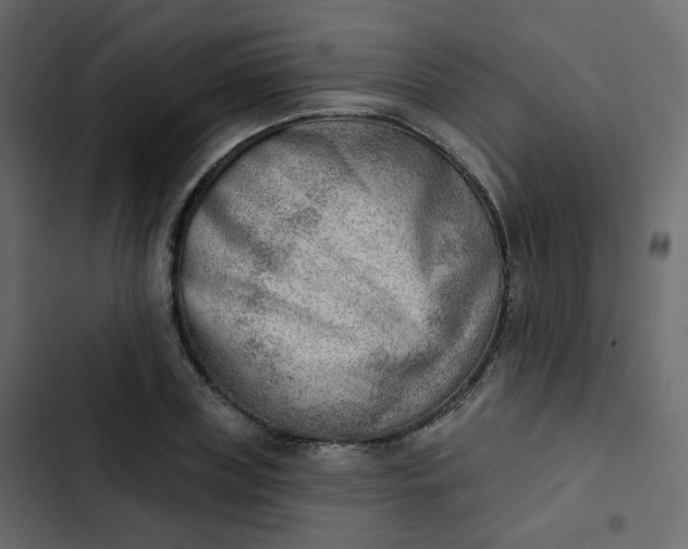 X0000102870835200809021445