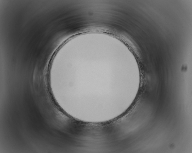 X0000102870836200809021445