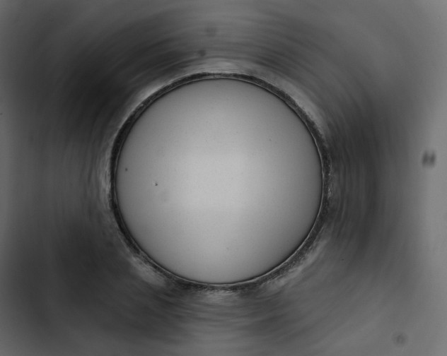 X0000102870837200809021445