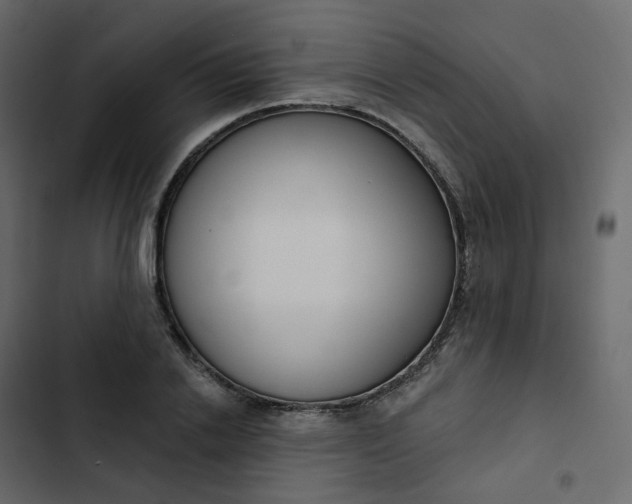 X0000102870838200809021445