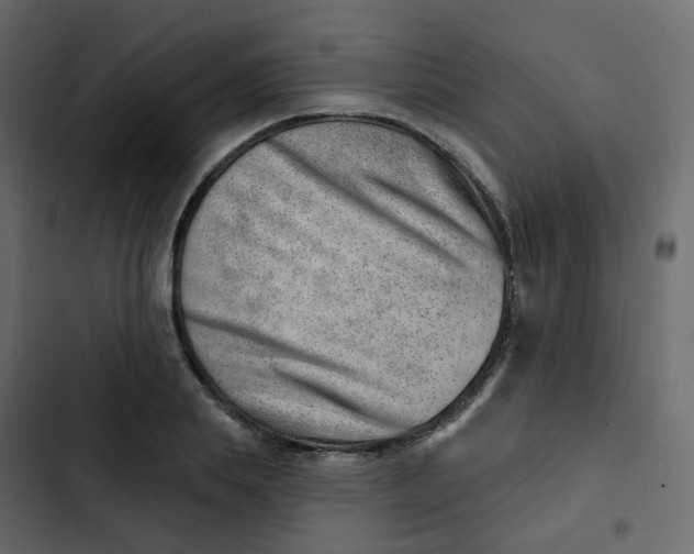 X0000102870839200809021445