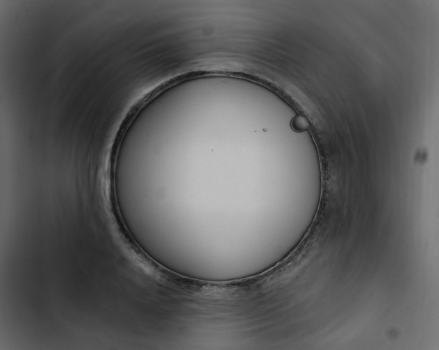 X0000102870840200809021445