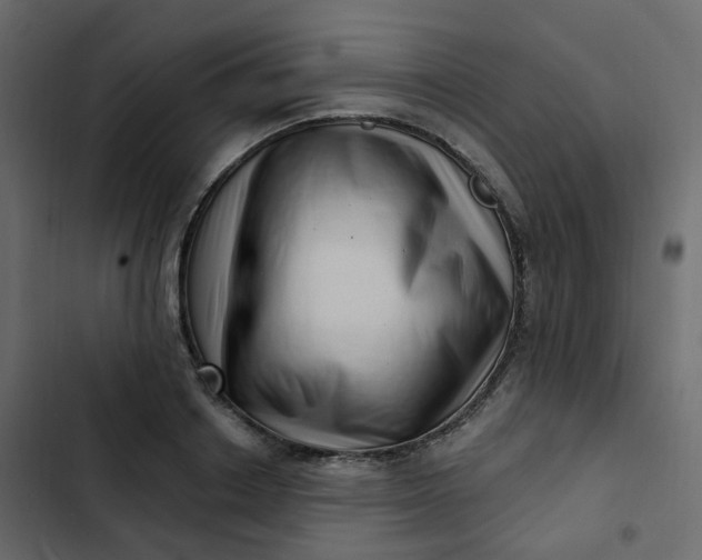 X0000102870842200809021445