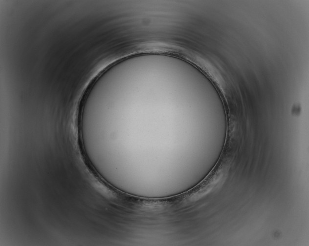 X0000102870843200809021445