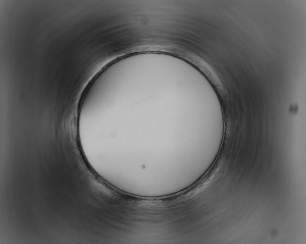 X0000102870844200809021445