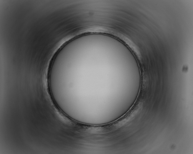 X0000102870845200809021445