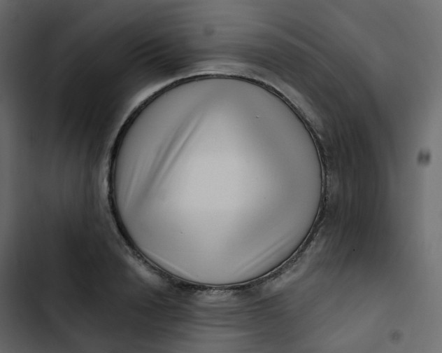 X0000102870846200809021445