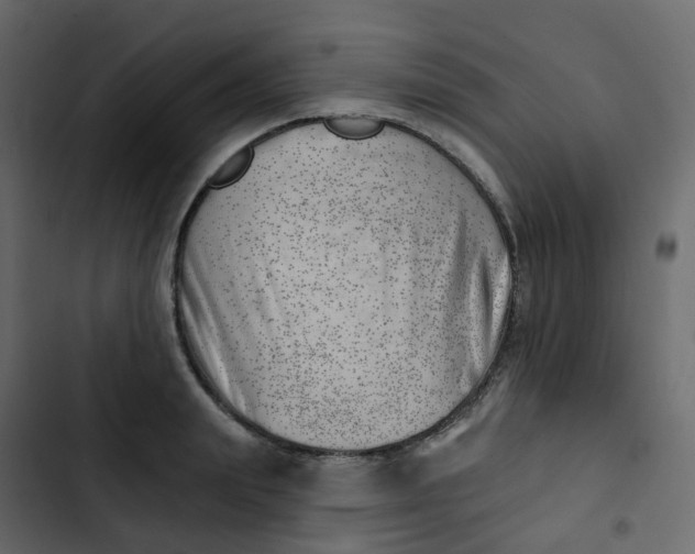 X0000102870847200809021445