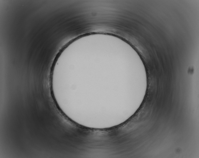 X0000102870848200809021445