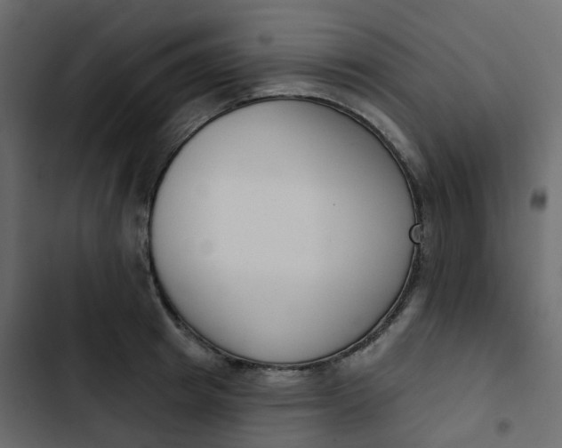 X0000102870849200809021445