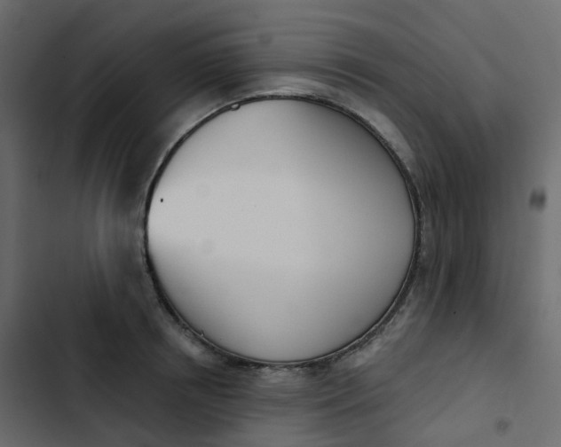 X0000102870850200809021445