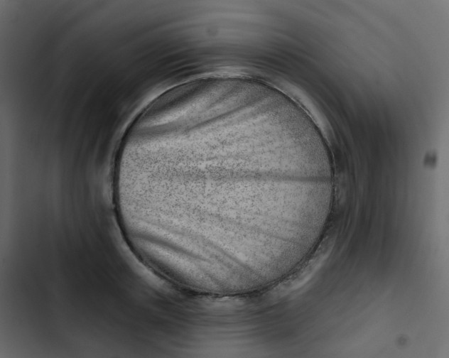 X0000102870851200809021445