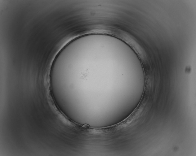 X0000102870852200809021445