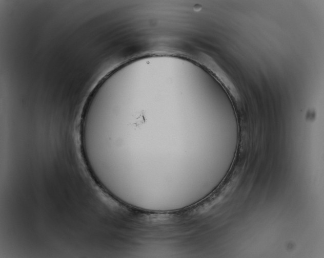 X0000102870853200809021445