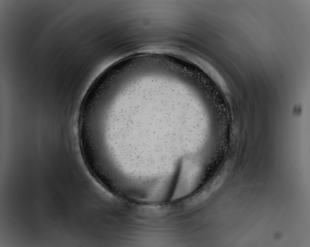 X0000102870855200809021445