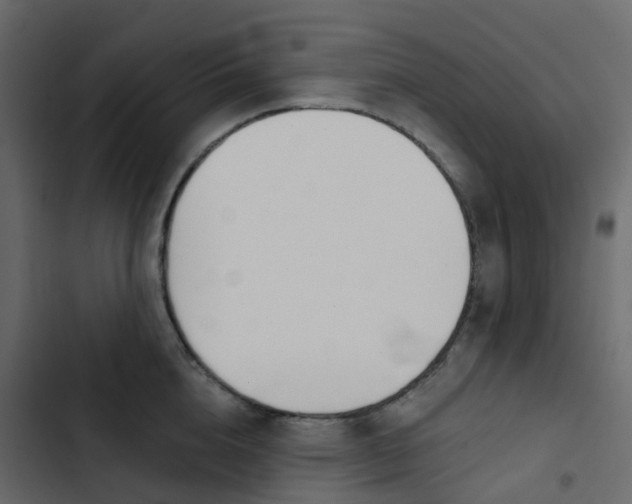 X0000102870856200809021445