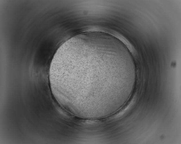 X0000102870857200809021445