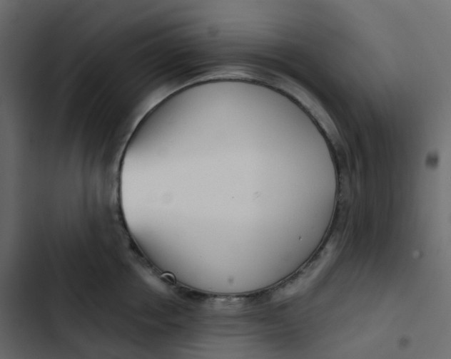 X0000102870858200809021445