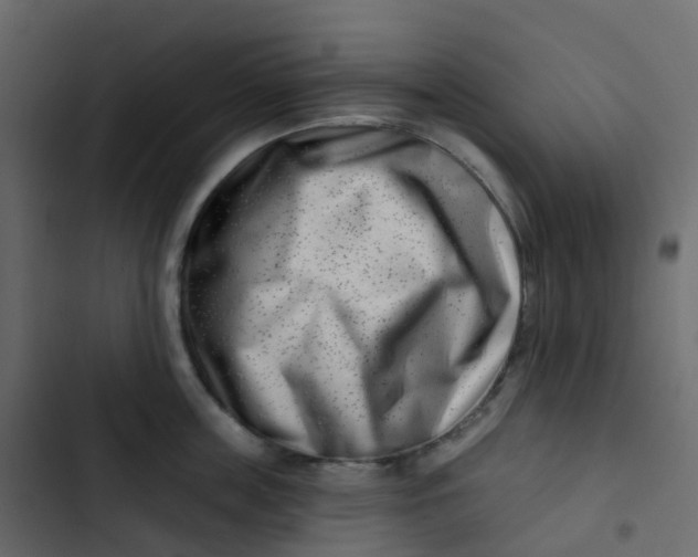 X0000102870859200809021445