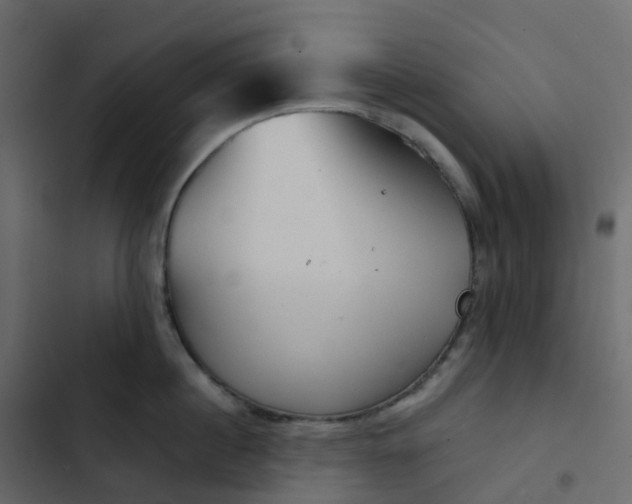 X0000102870860200809021446