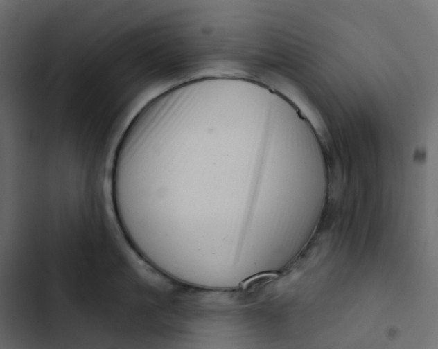 X0000102870861200809021446