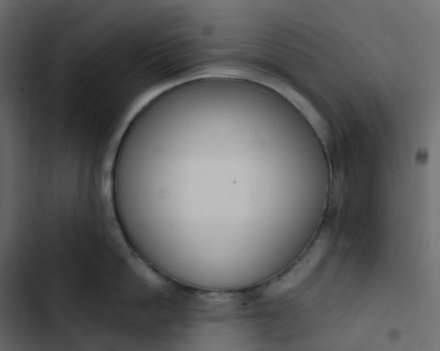 X0000102870862200809021446