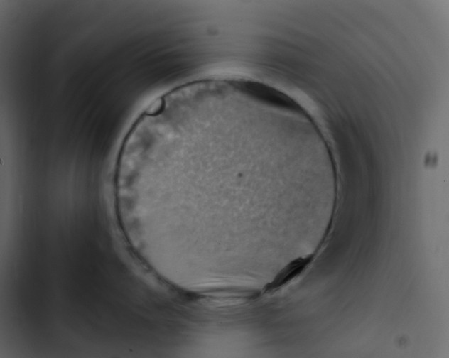 X0000102870864200809021446