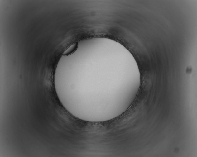 X0000102870866200809021445