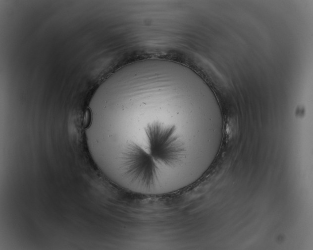 X0000102870867200809021445