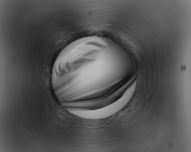 X0000102870868200809021445