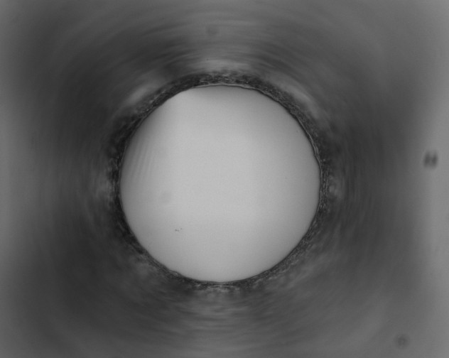 X0000102870869200809021445