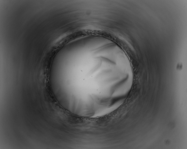 X0000102870870200809021445