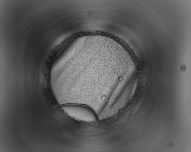 X0000102870871200809021445