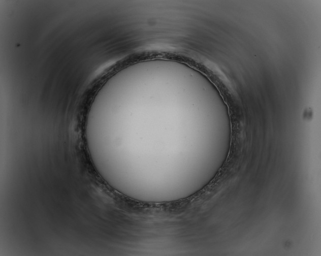 X0000102870872200809021445