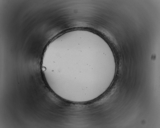 X0000102870873200809021445