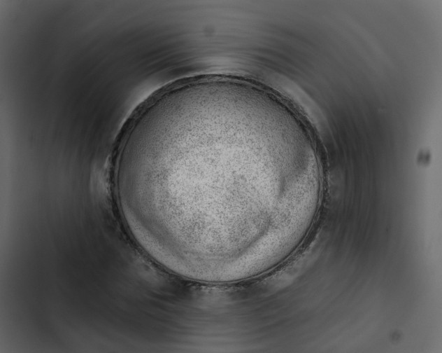 X0000102870875200809021445