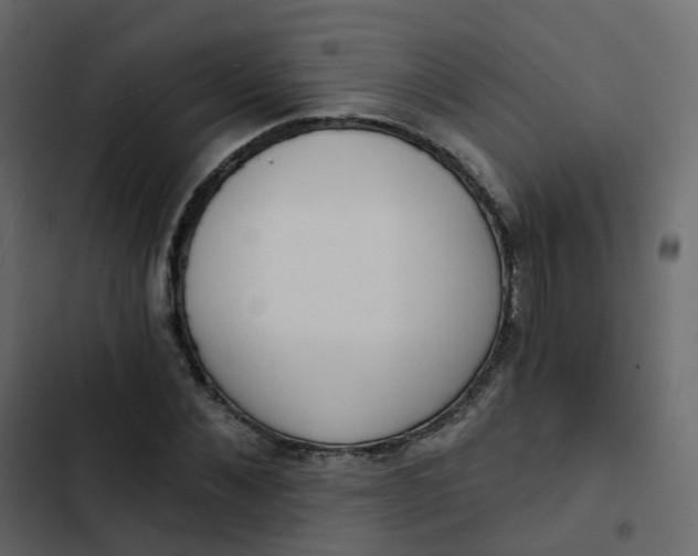 X0000102870876200809021445