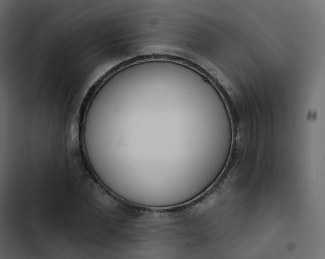 X0000102870877200809021445