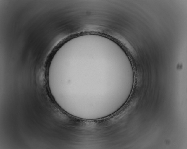 X0000102870878200809021445