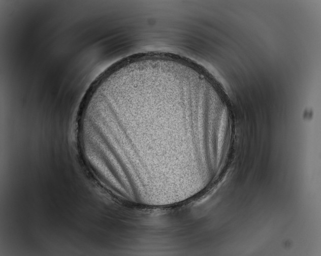 X0000102870879200809021445