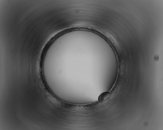 X0000102870880200809021445