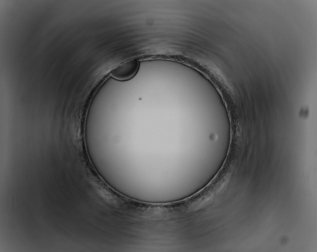 X0000102870881200809021445