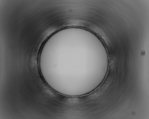 X0000102870882200809021445